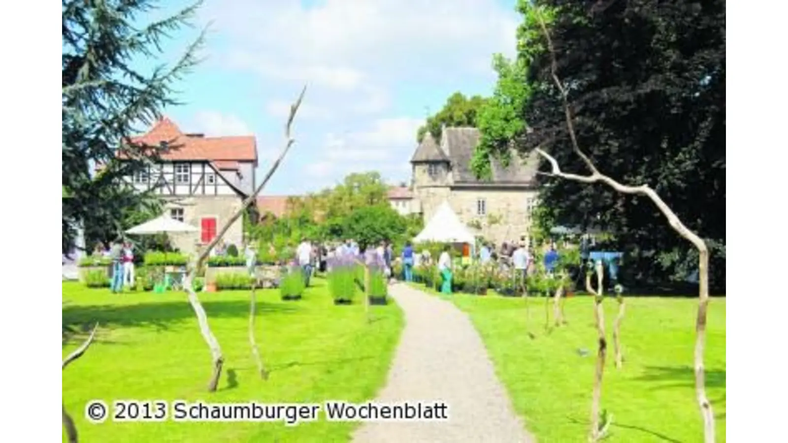 Höhepunkte nicht verpassen (Foto: mk)