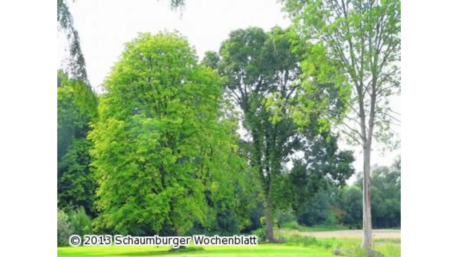 Für mehr Vögel und mehr Leben (Foto: al)