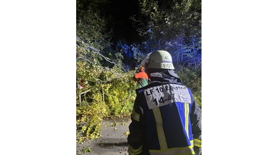 Die Feuerwehr Egestorf war die letzten Tage gefordert. (Foto: red)
