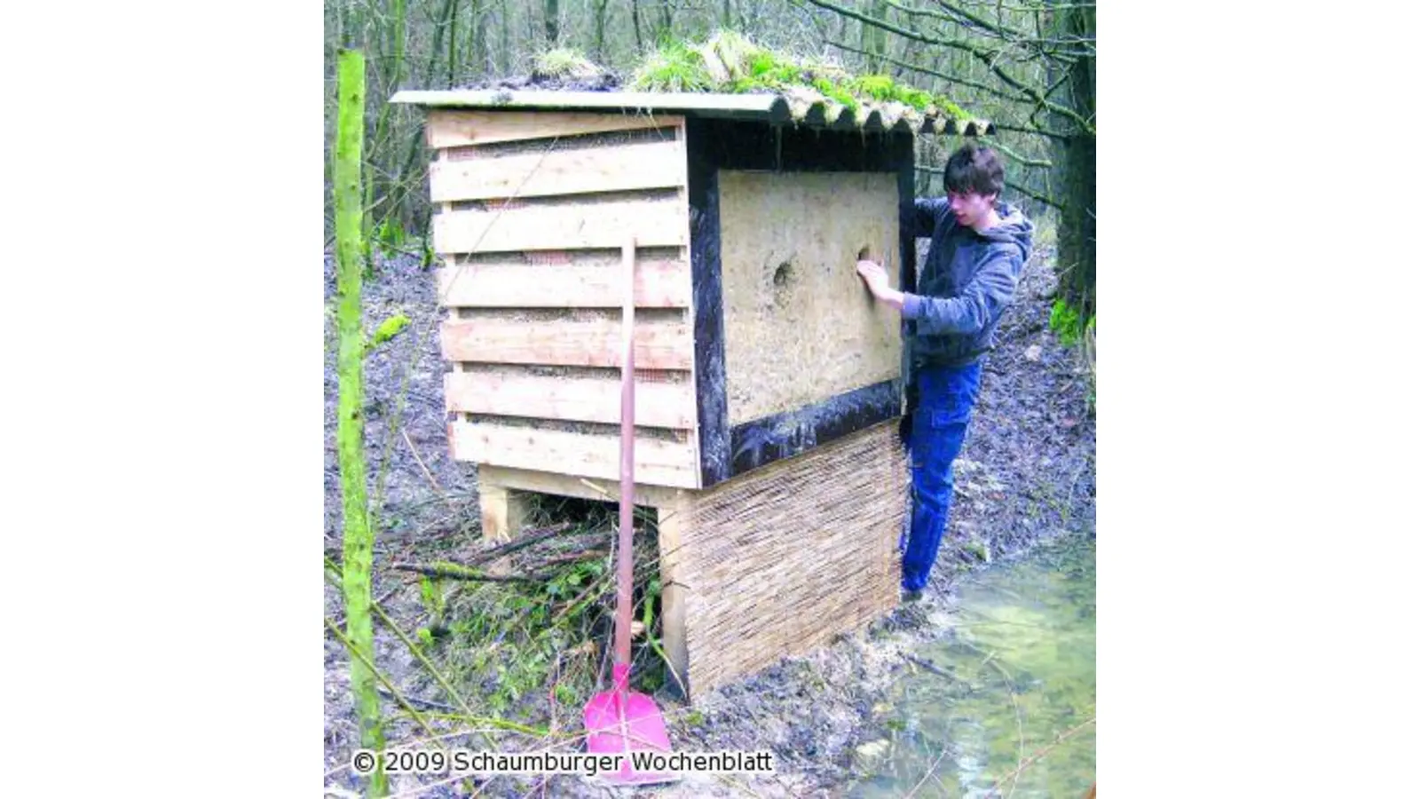 Den Eisvogel bei ihrem Wohnungsbau unterstützen (Foto: red)