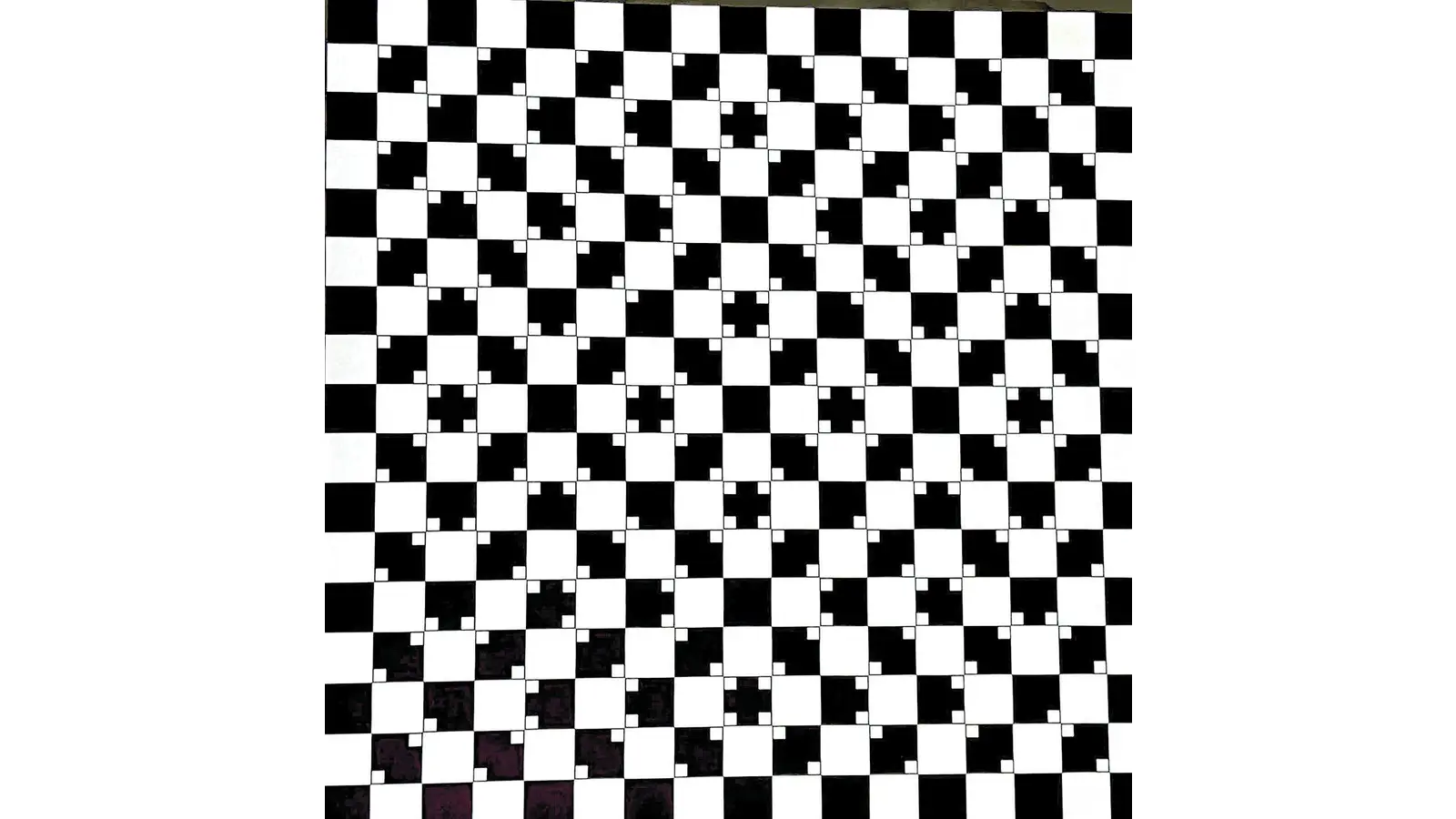 Letzte Führungen durch die Ausstellung (Foto: km)