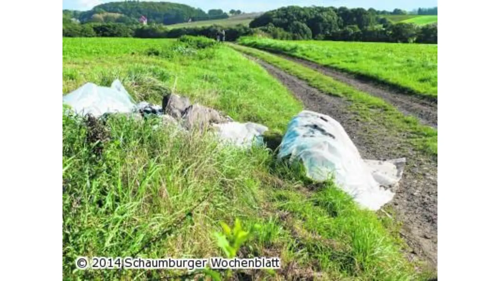 Müll am Ackerrain (Foto: al)