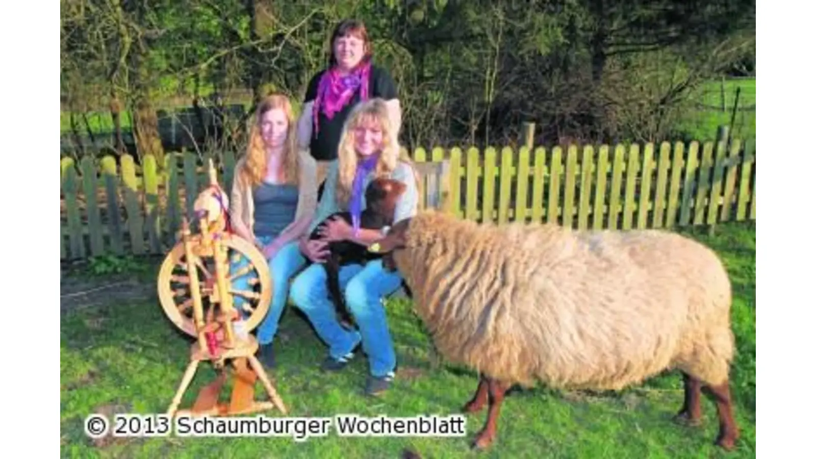 Vom Schaf bis zum Pullover (Foto: bb)