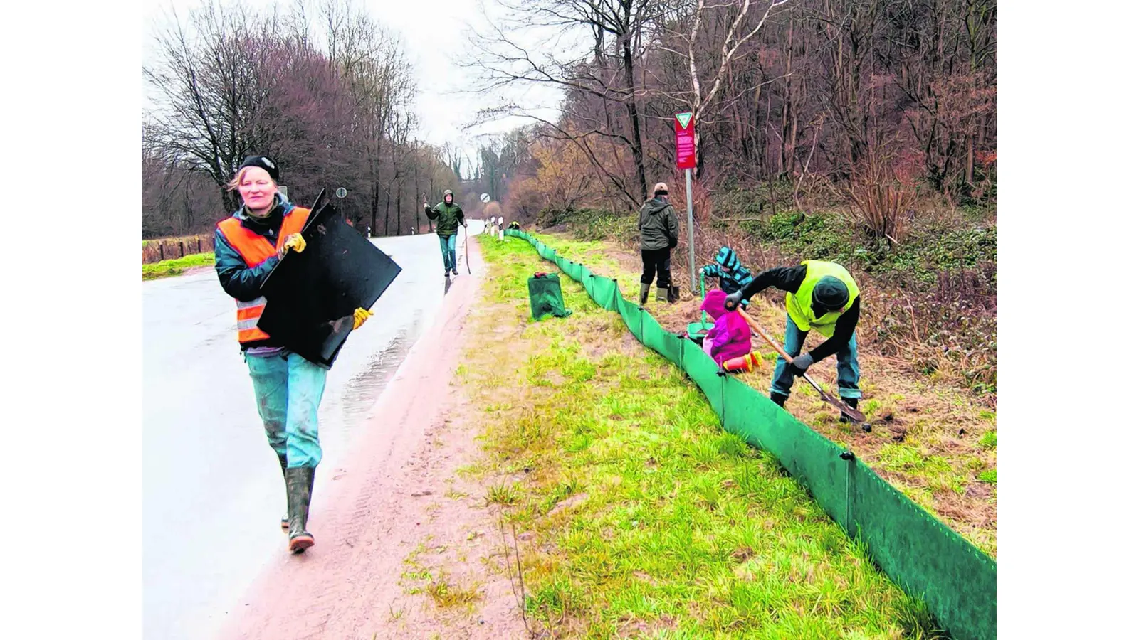 Krötenwanderung hat jetzt begonnen (Foto: ste)