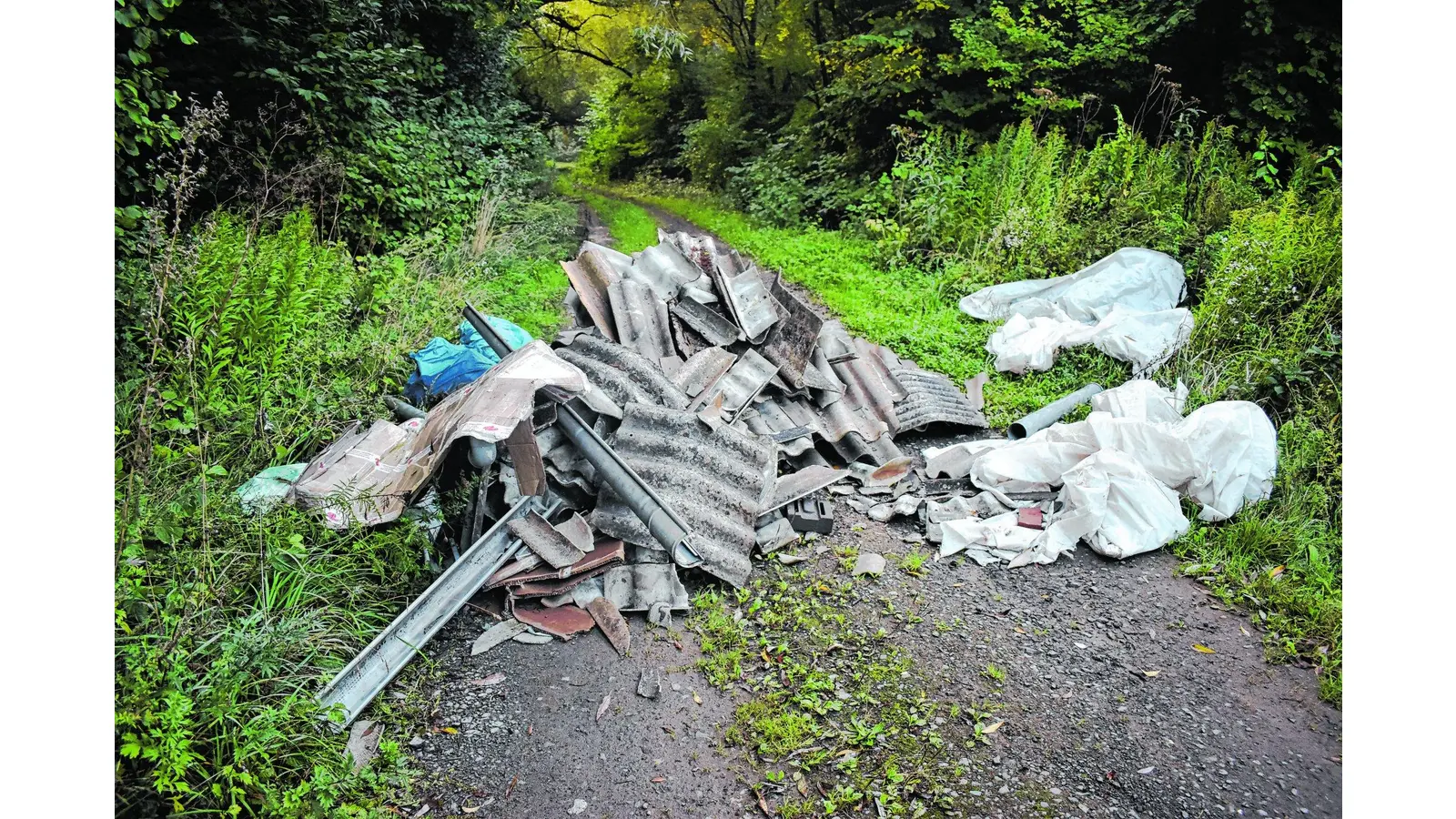 Bauschutt weggeworfen (Foto: nh)