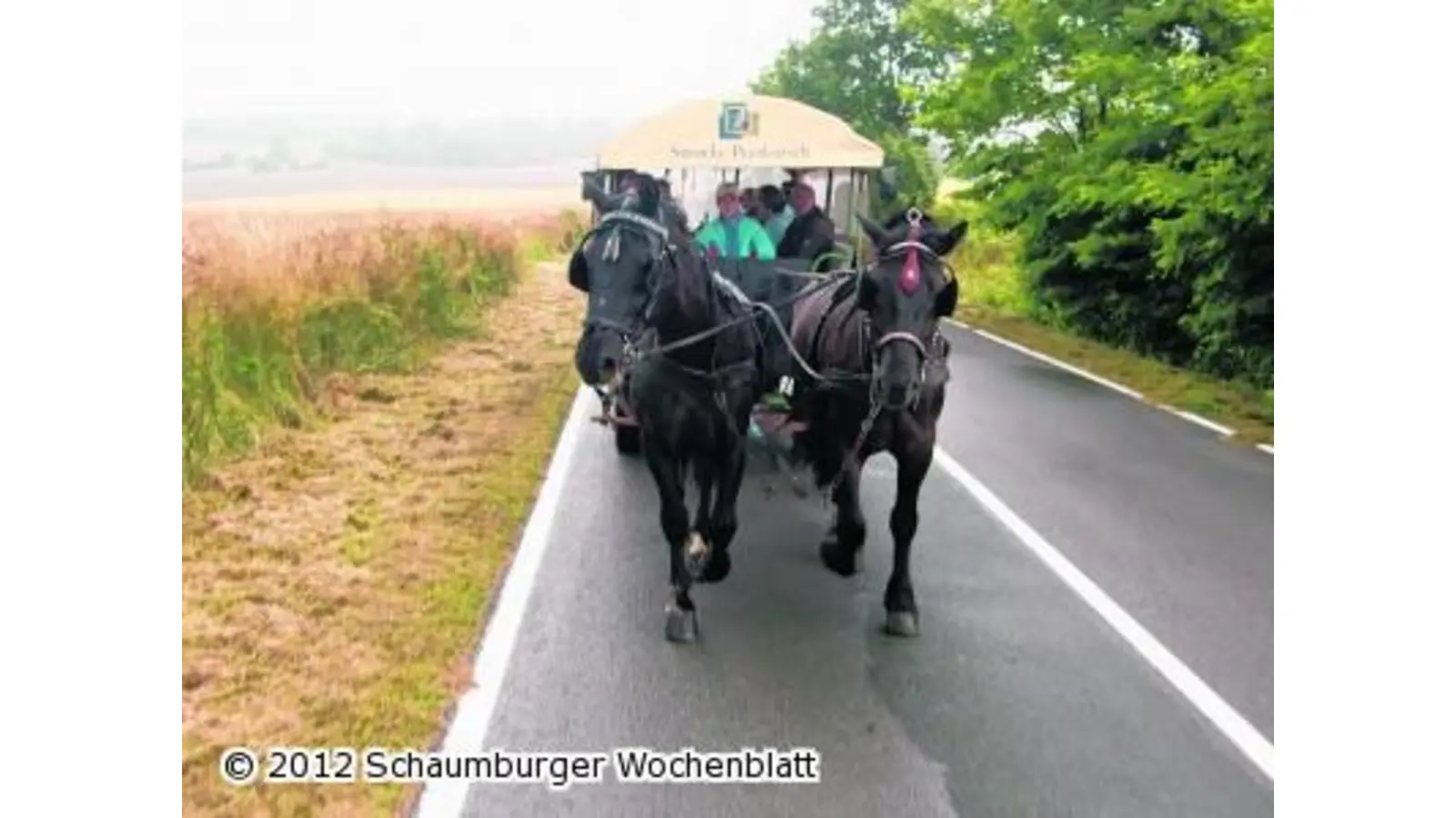 Tanzen macht Freude (Foto: em)