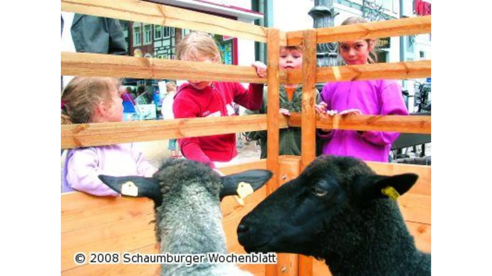 Öko-Markt kommt an (Foto: ste)
