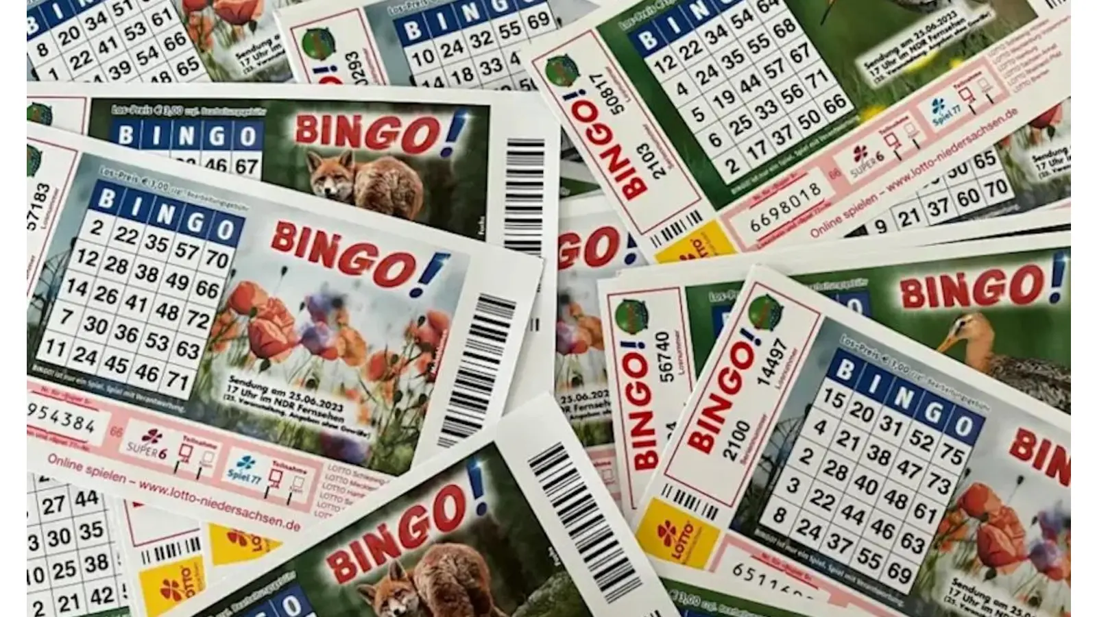 Bingo-Lottoscheine. (Foto: Lotto Niedersachsen)