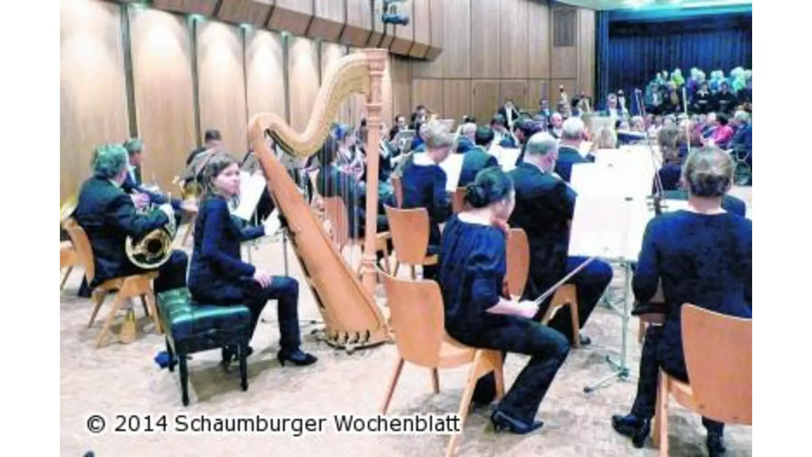 Neujahrskonzert mit Klassik und Wiener Walzer-Seligkeit (Foto: red)