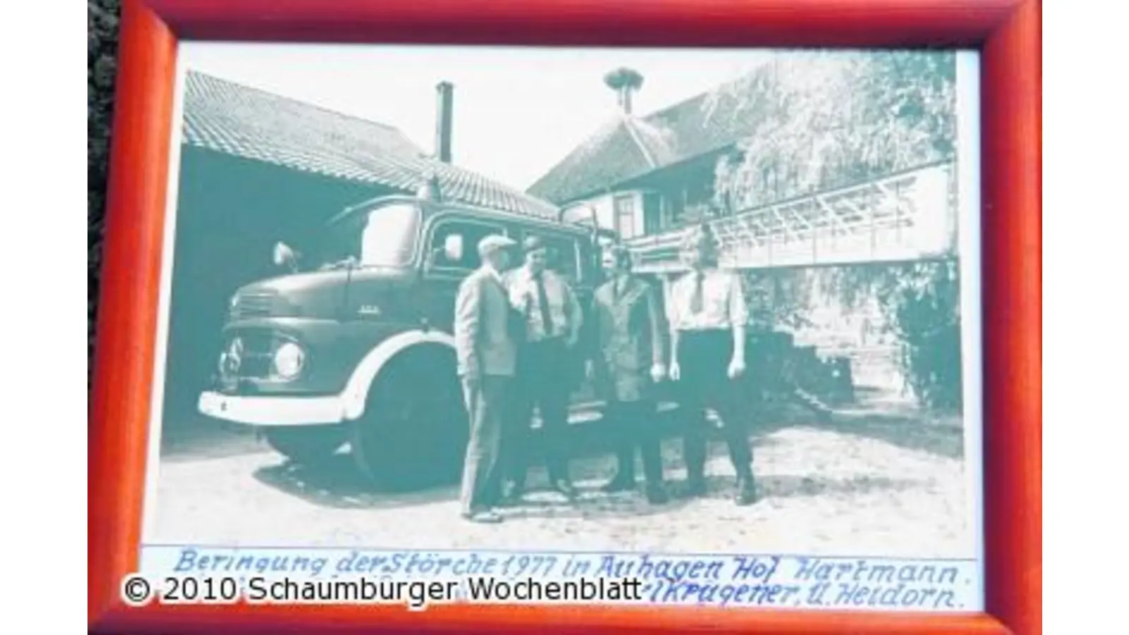 Storchenberingung vor über 30 Jahren (Foto: gi)