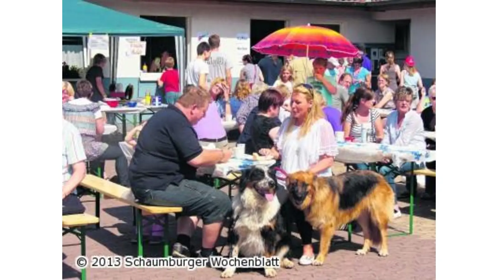 Ein Sommerfest für die Vierbeiner (Foto: hb)