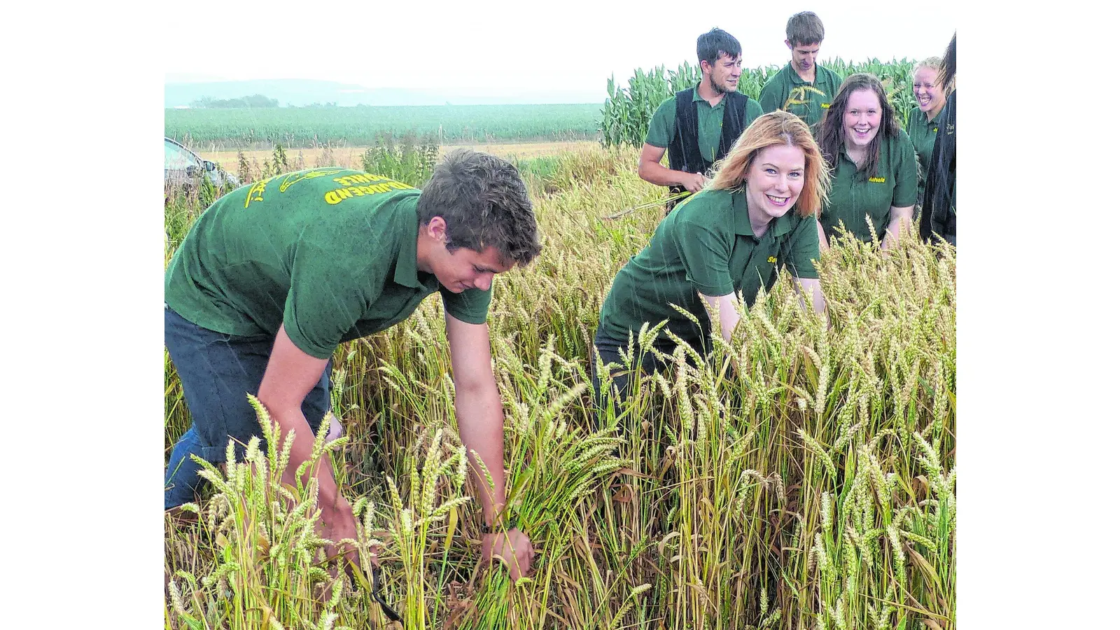 Die Eiche soll wackeln (Foto: al)