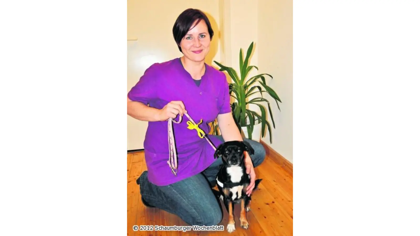 Abstand halten wenn ein gelber Hund kommt (Foto: wa)