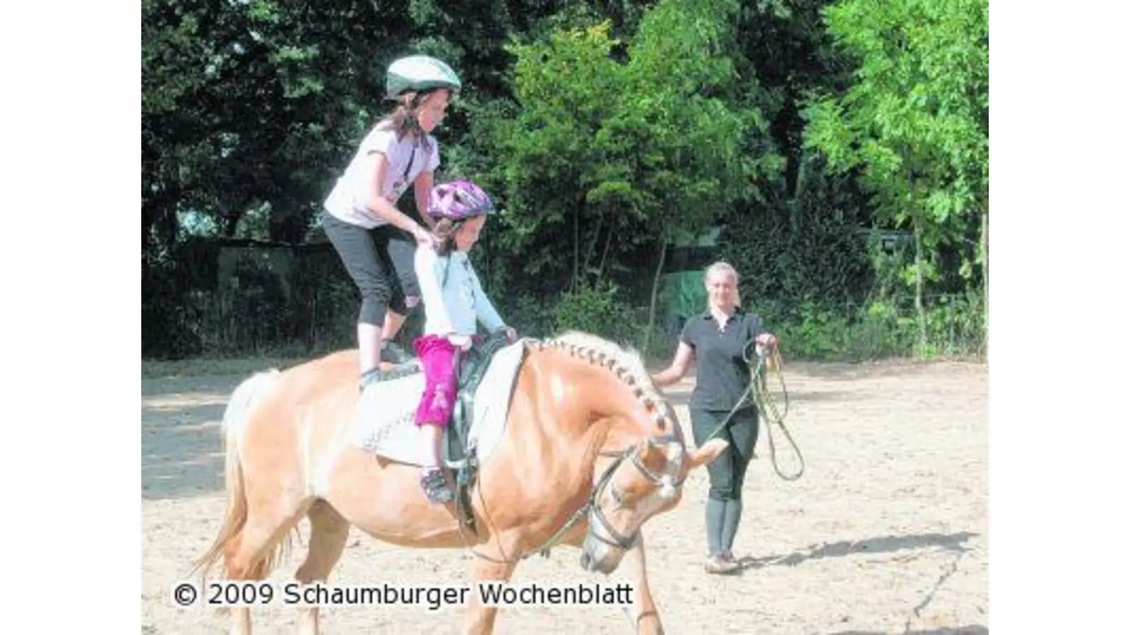 Das Glück liegt auf dem Rücken der Pferde (Foto: red)