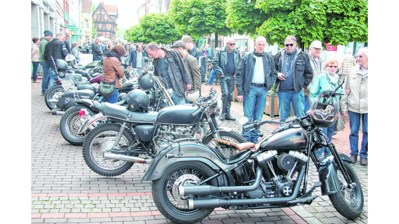 Harley-Treffen lockt Motorradfreunde (Foto: red)