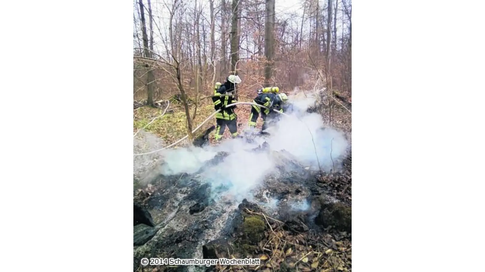 Baum brennt im Wald (Foto: al)