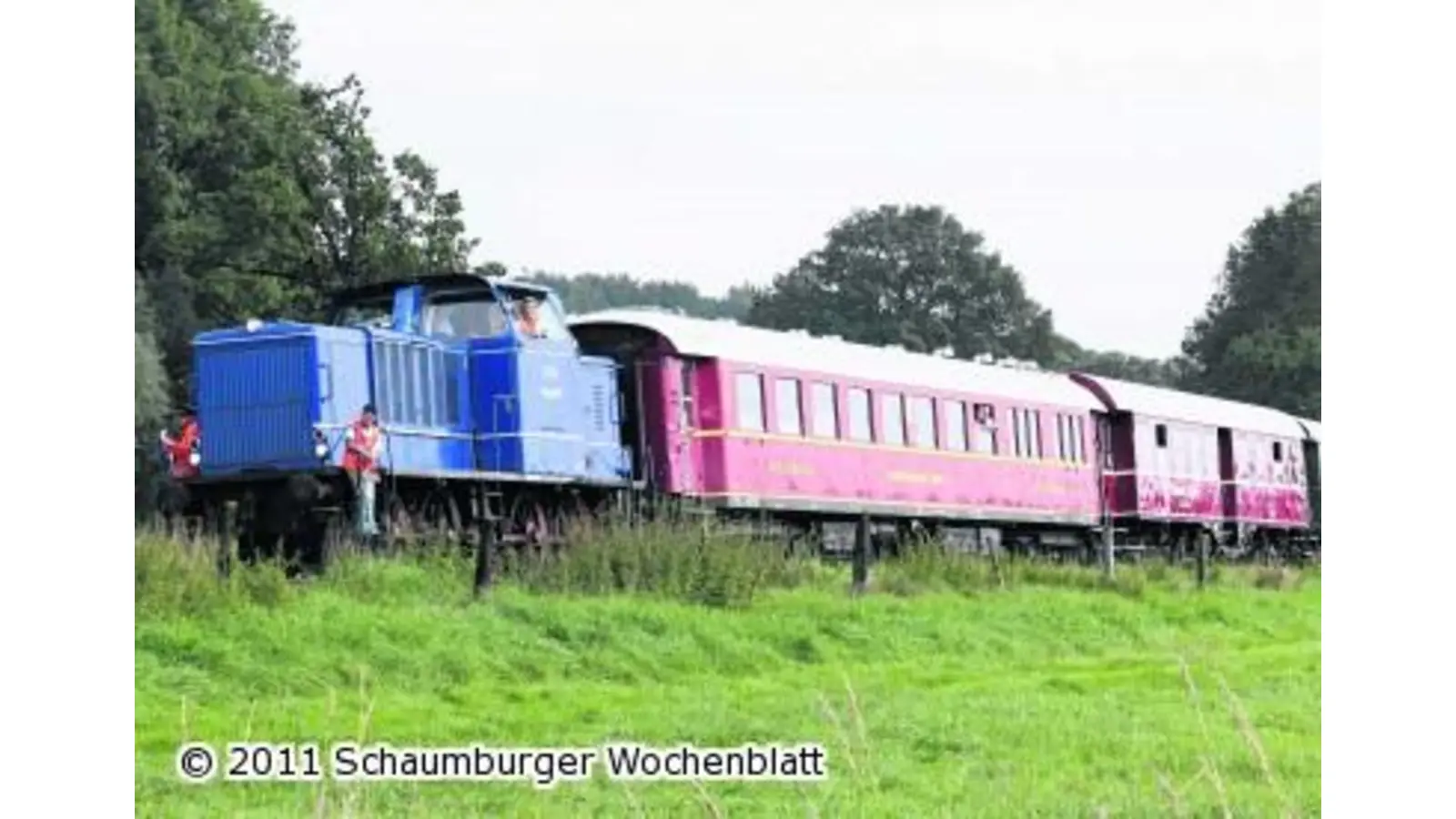 Schlemmen im Heckeneilzug (Foto: ste)