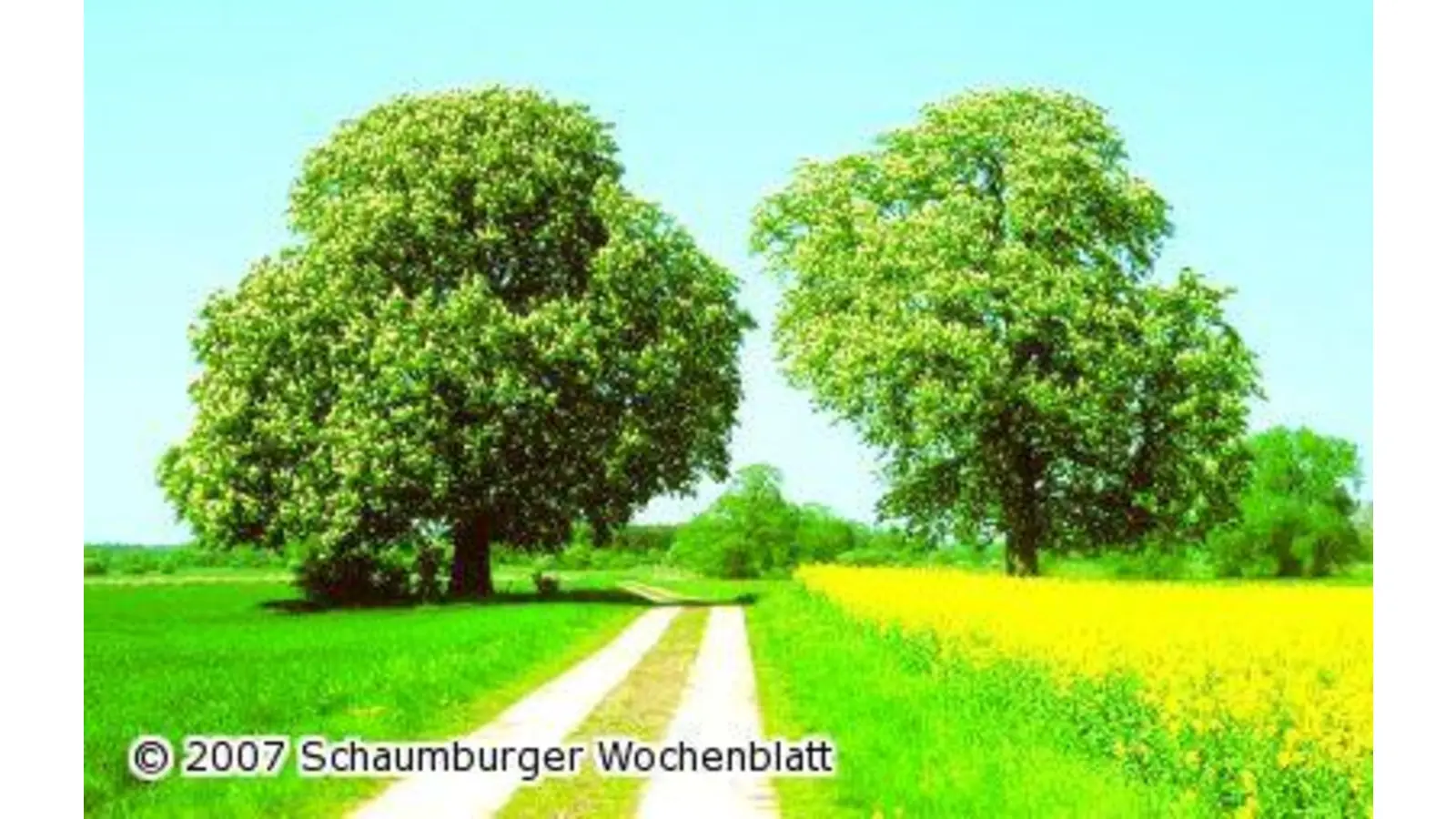 Dia-Vortrag über Bückeburg (Foto: red)