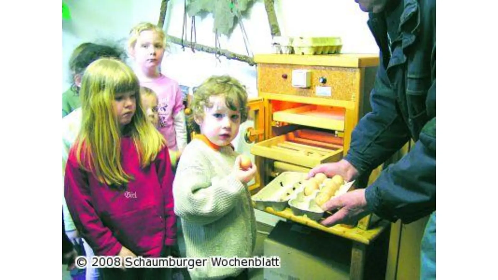 Zweimal täglich Eier drehen (Foto: pd)