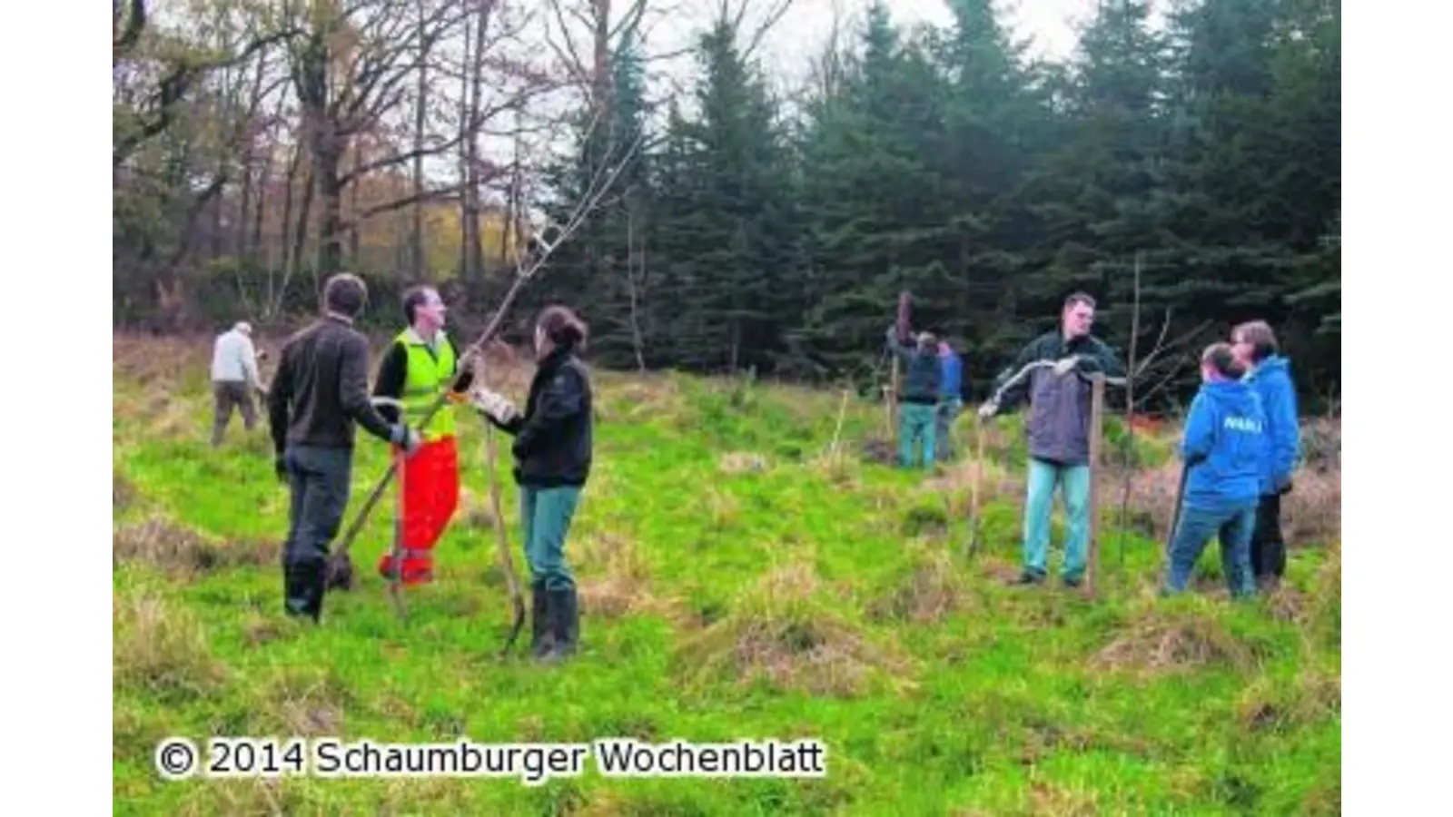 Mit Spaten und Spitzhacke für einen artenreichen Lebensraum (Foto: ste)