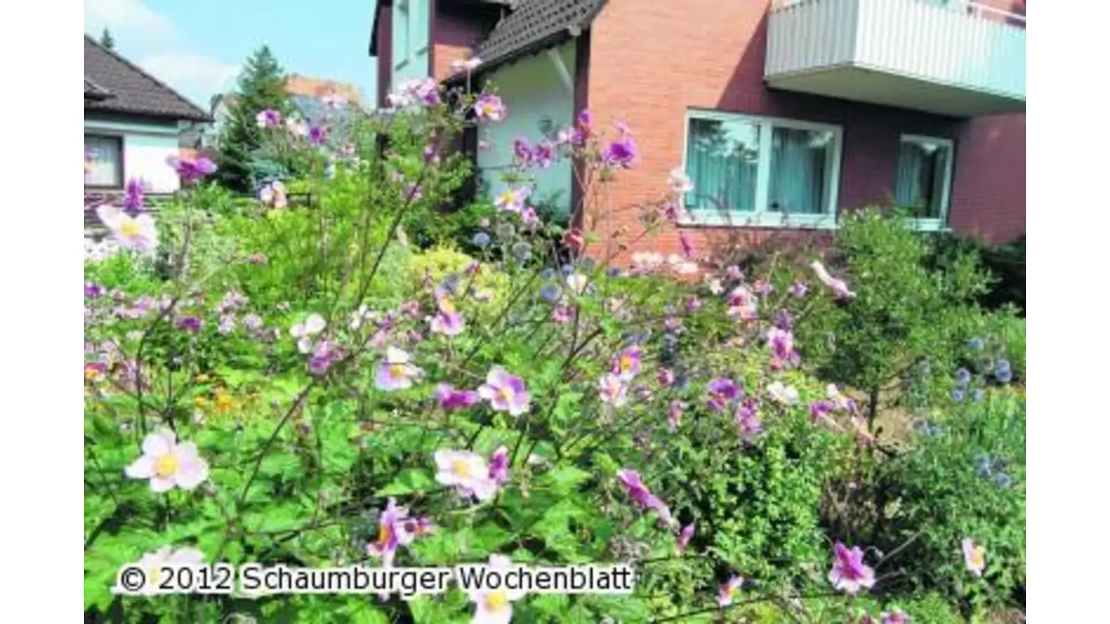 Blumenschmuckwettbewerb (Foto: ste)