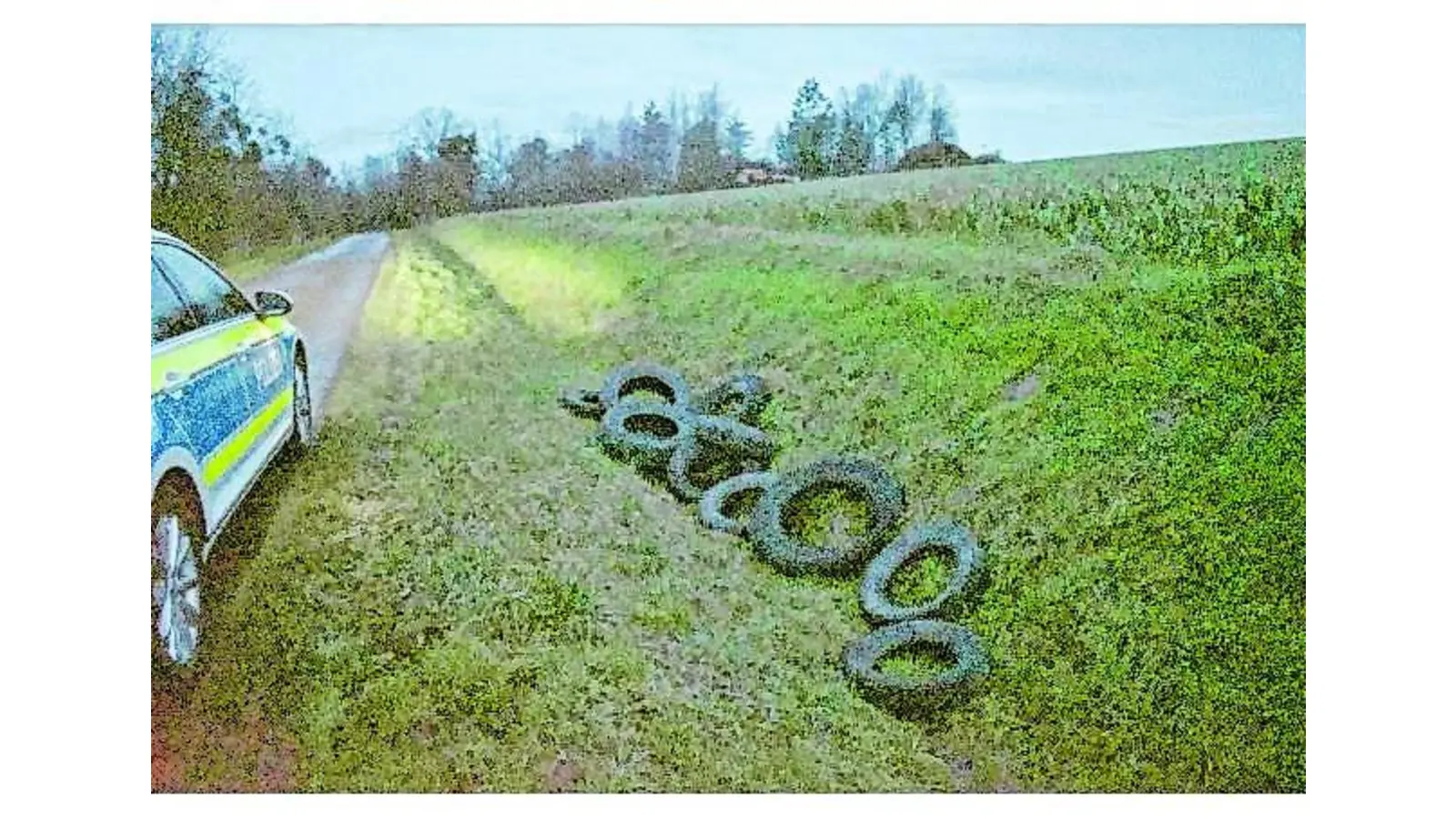 Altreifen entsorgt (Foto: nh)