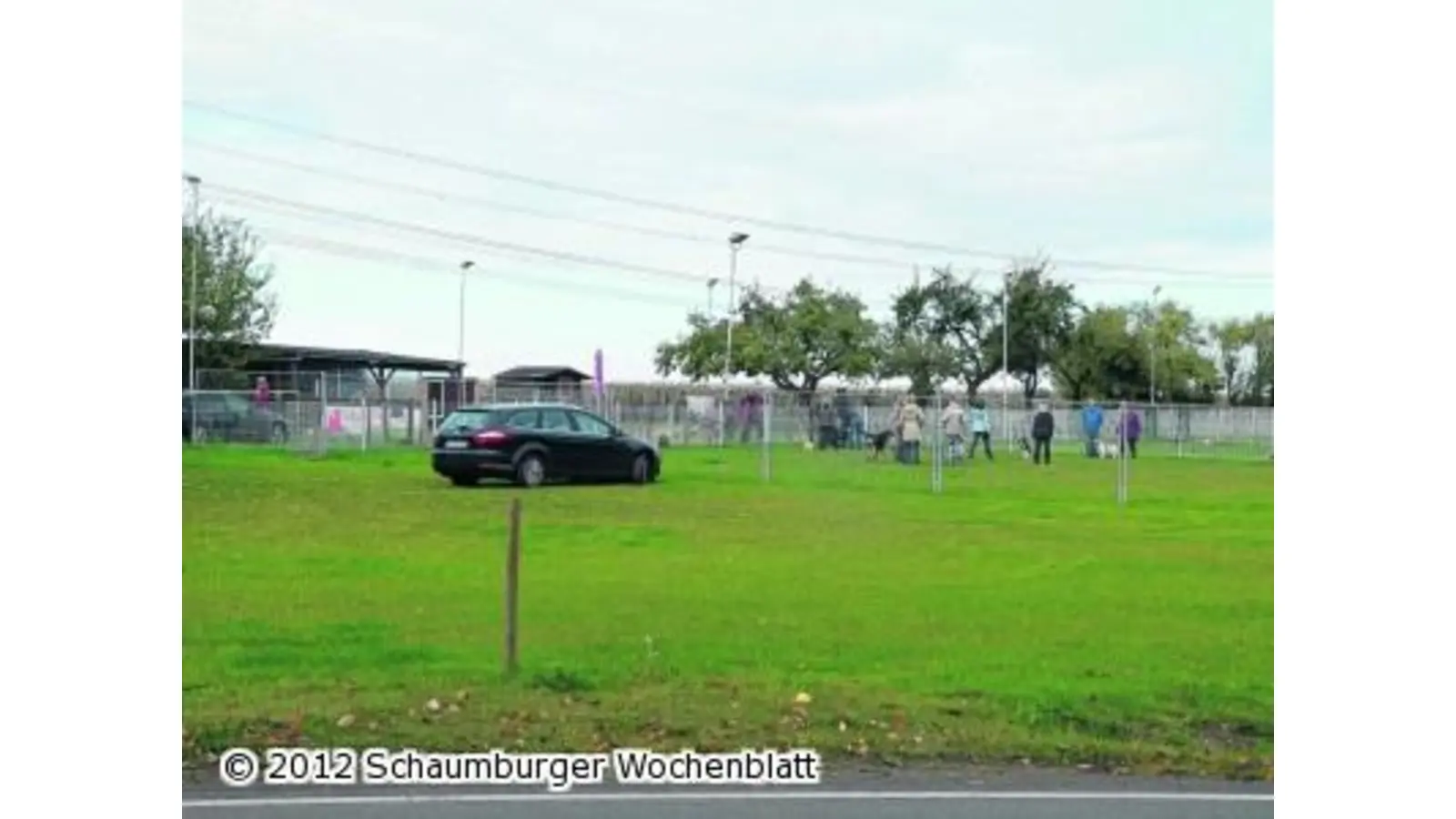 Hundefreunde wollen einen Schuppen bauen (Foto: al)
