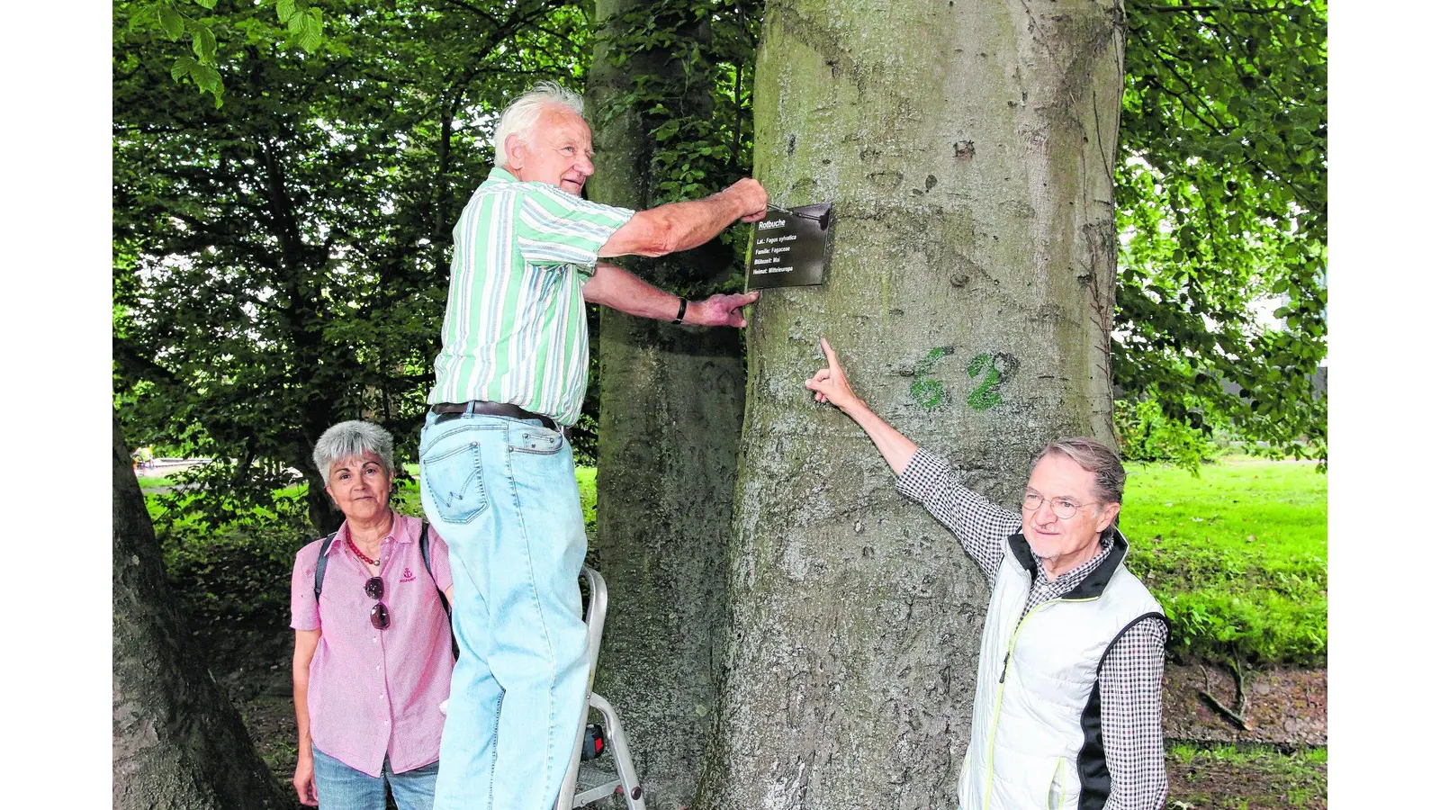 Blutbuche und Trompetenbaum mit Schildern gekennzeichnet (Foto: bb)