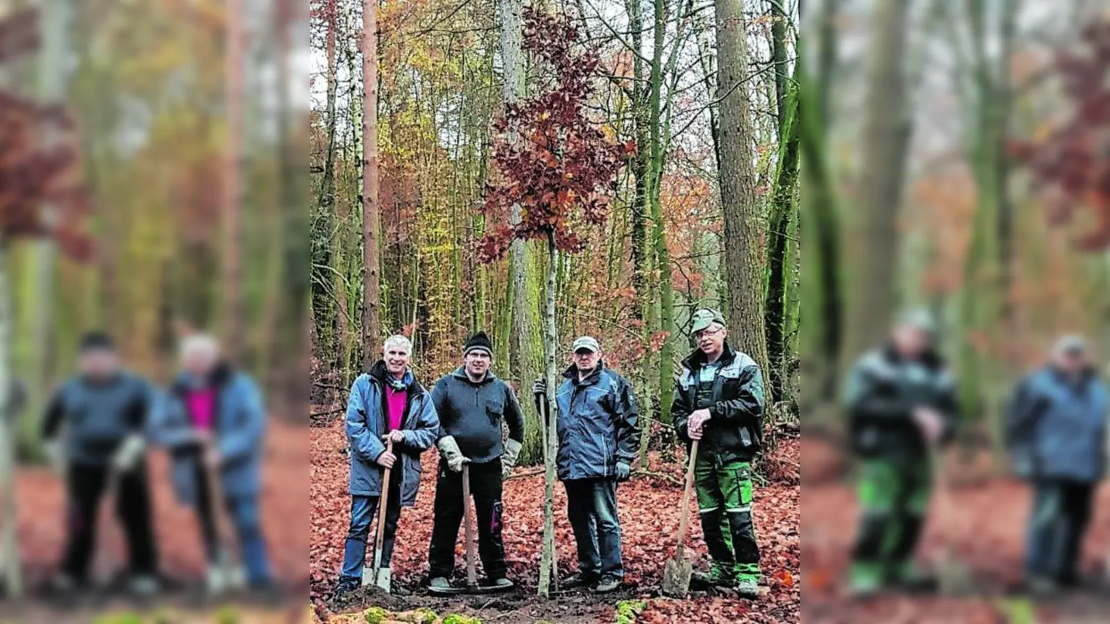 Waldfreunde pflanzen neue Buche (Foto: red)