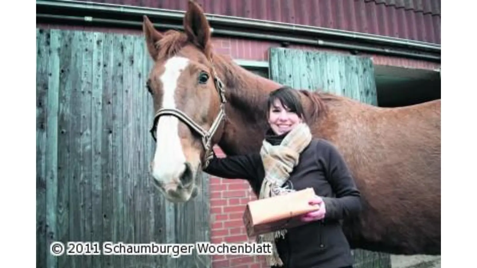 Schenken kann manchmal ganz einfach sein (Foto: red)