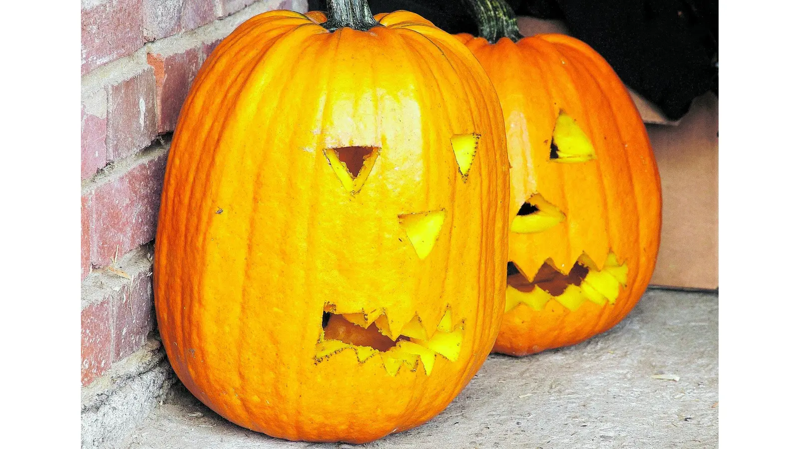 Kürbis schnitzen (Foto: red)