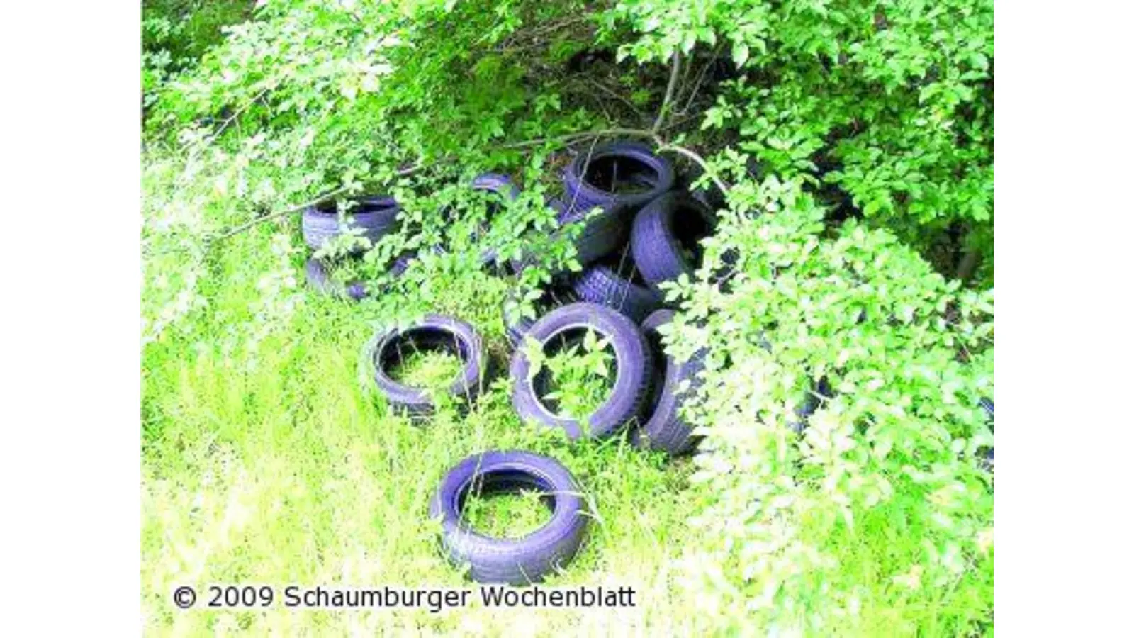 Umweltfrevler am Werk (Foto: red)