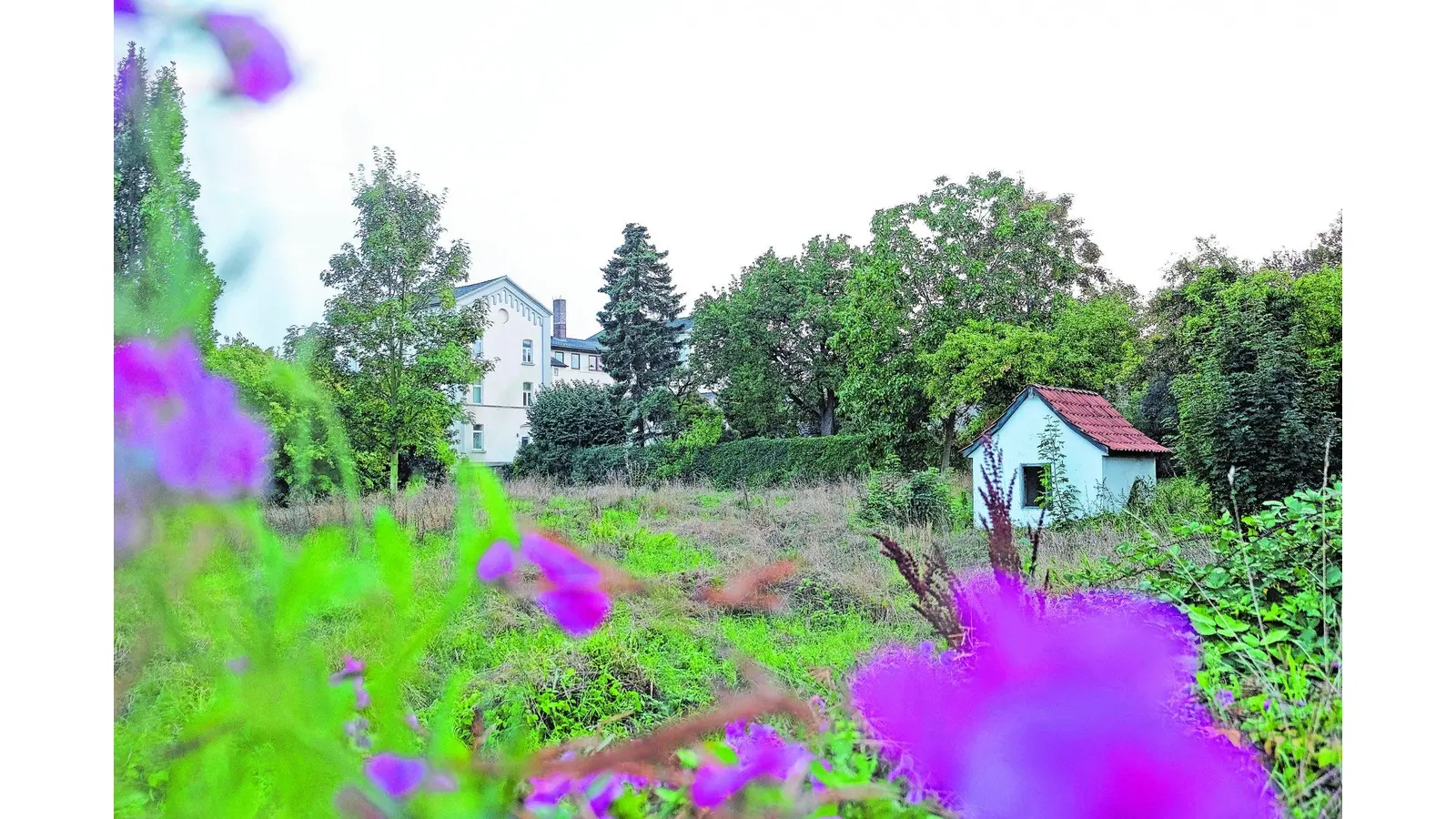 Rodenberg stellt sich antizyklisch auf (Foto: jl)