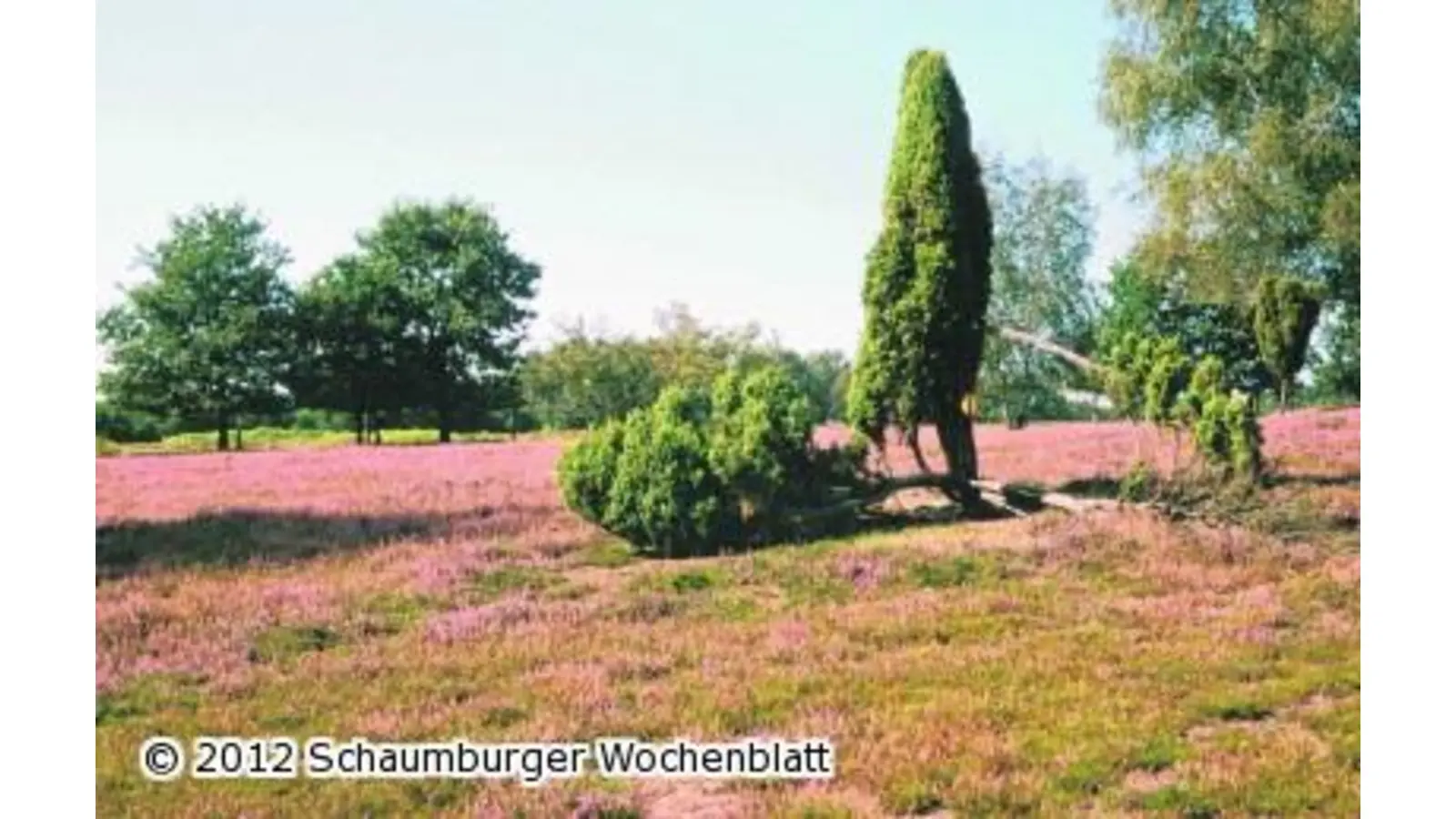 Diavortrag über Norddeutschland (Foto: red)