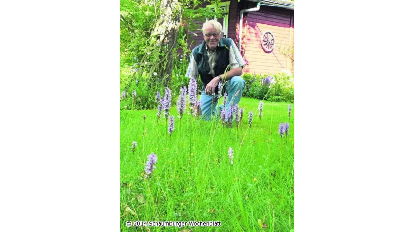 Seltene Blumen im Garten (Foto: al)