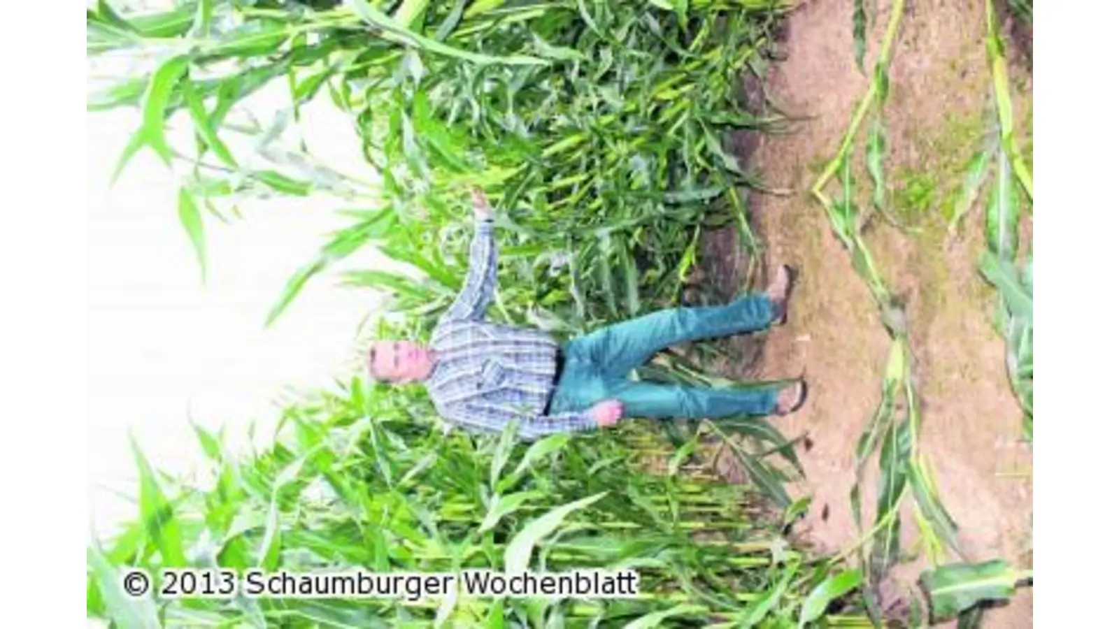 Das Wetter verhagelt den Rätselspaß (Foto: ag)