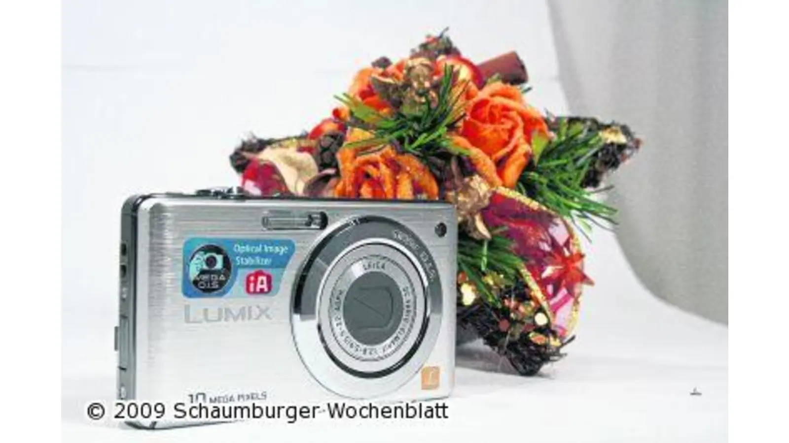 Es geht ab in die Pfütze (Foto: red)