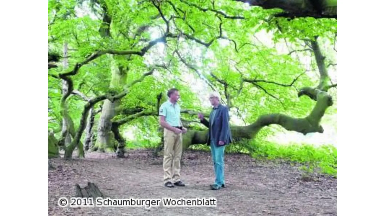 Botanische Rarität durch Steg schützen (Foto: pd)