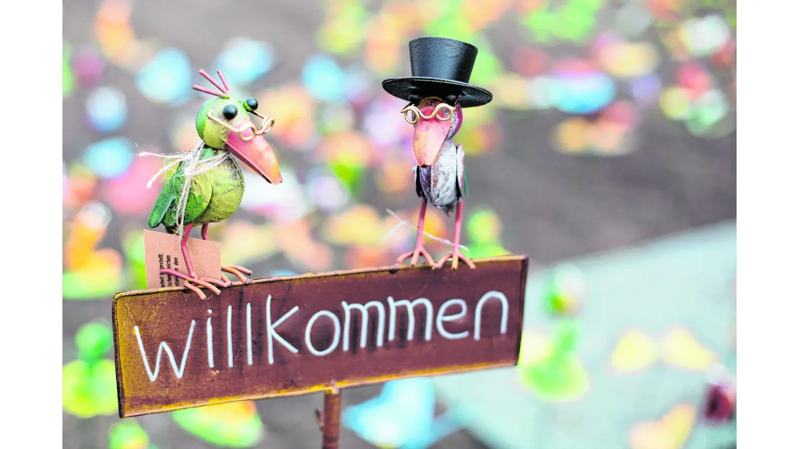 Frühlingshaftes Paradies im Kurpark (Foto: jl)