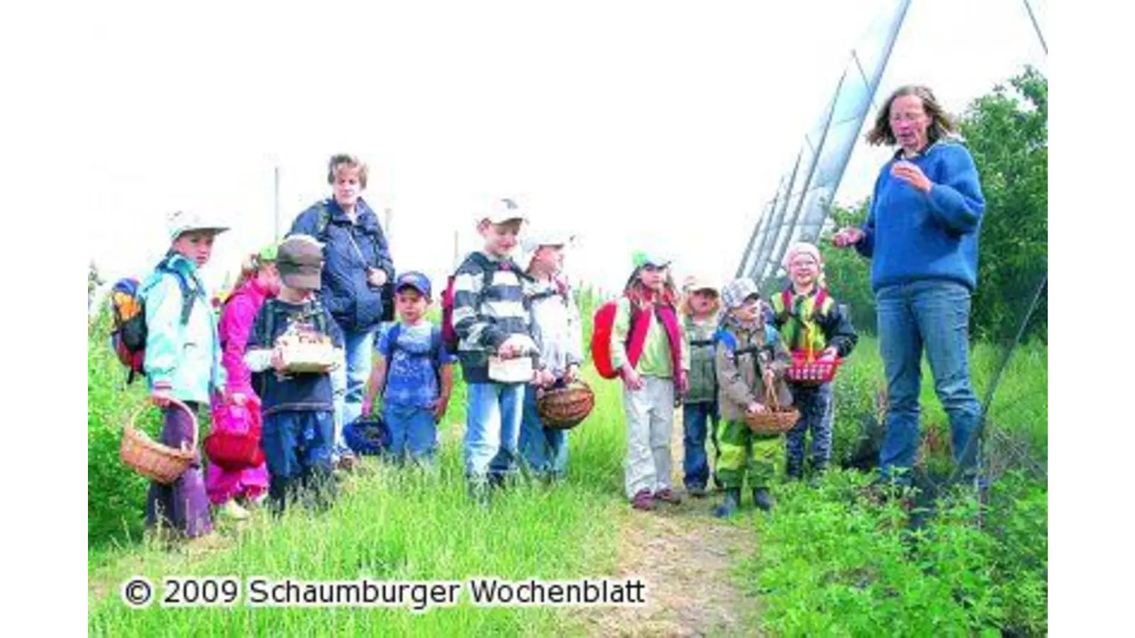Süße Früchte für kleine Früchtchen (Foto: red)
