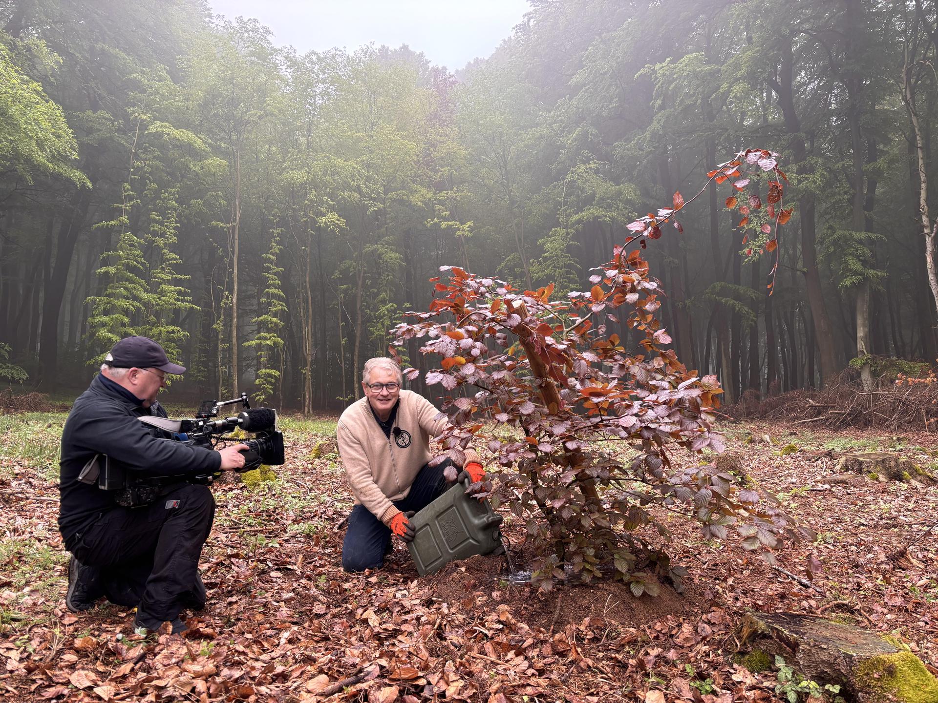 Wolfgang Seifert in seinem Süntelbuchenwald im Deister. (Foto: RTL Nord)