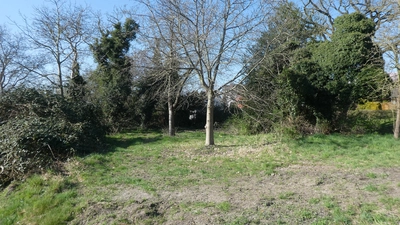 Die Streuobstwiese.  (Foto: privat)