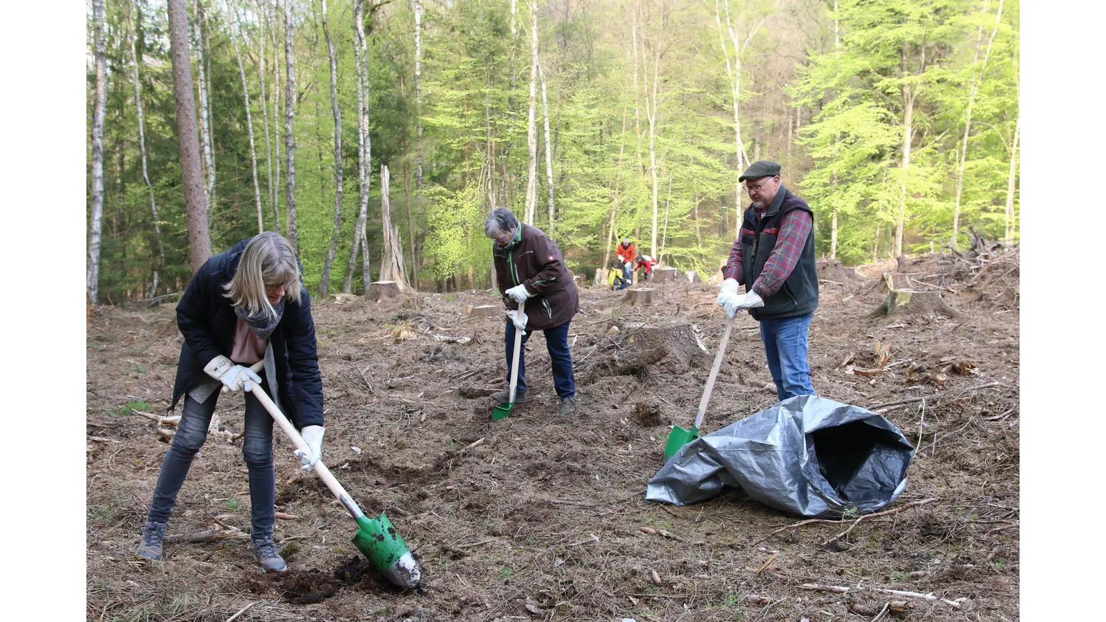 Landkreis pflanzt Baum für jedes neugeborene Kind (Foto: bb)