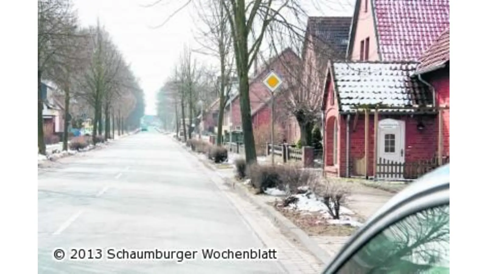 Rat stimmt einem Bürgerbegehren zur Situation der Straßenbäume zu (Foto: gi)