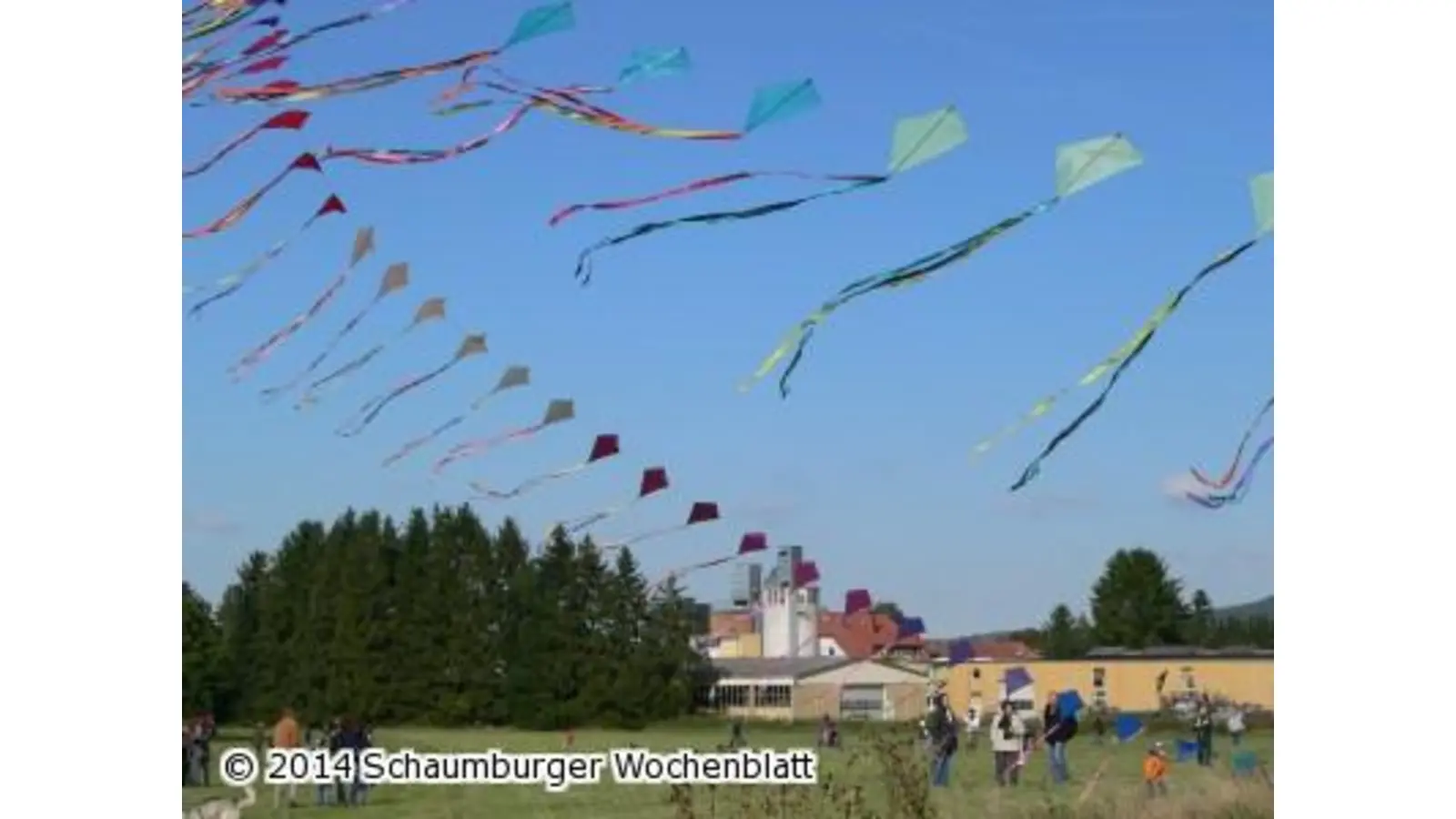 Drachen steigen über Hülsede (Foto: al)