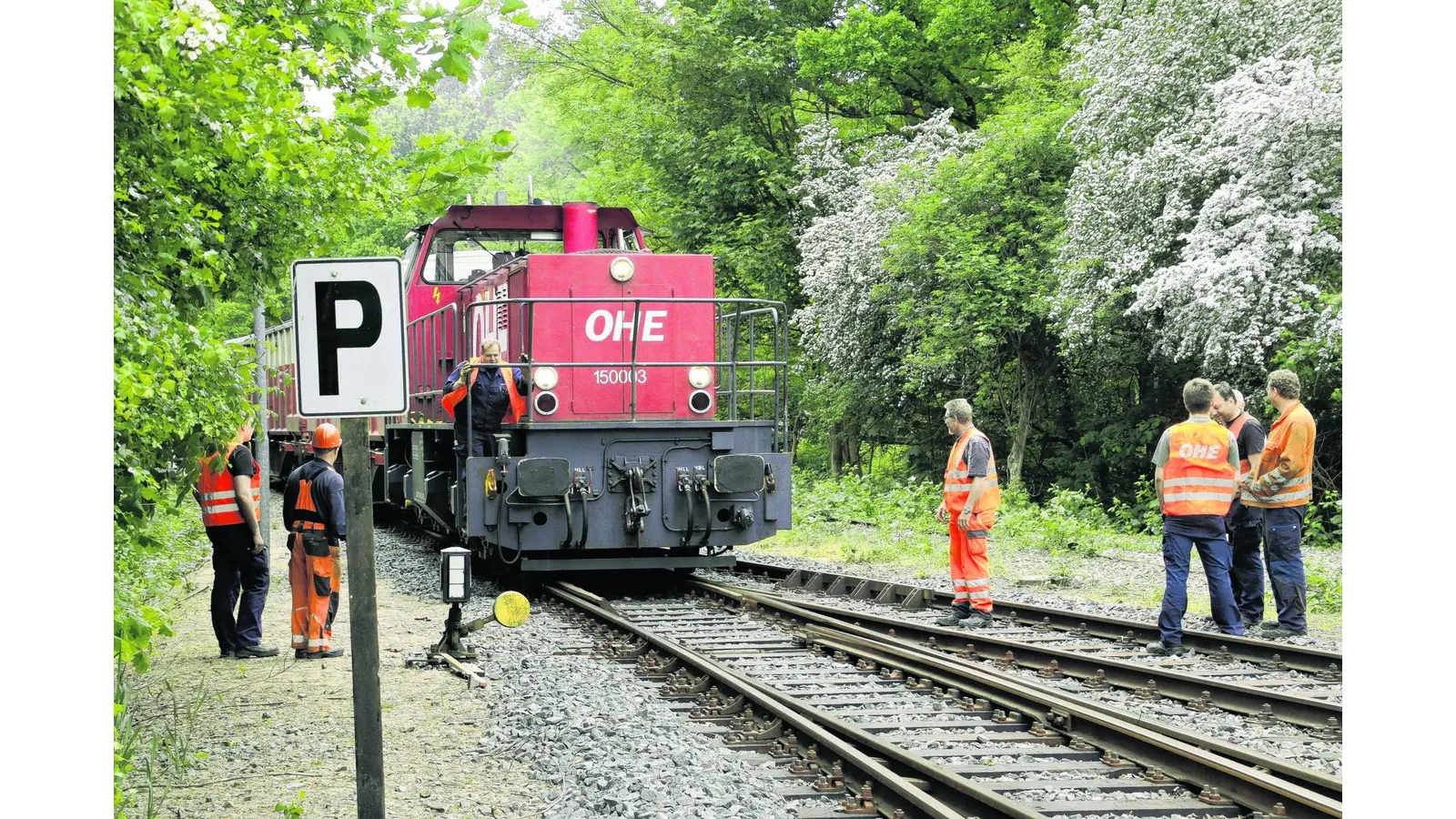 Drehgestell morgens von OHE-Lok entgleist (Foto: gi)