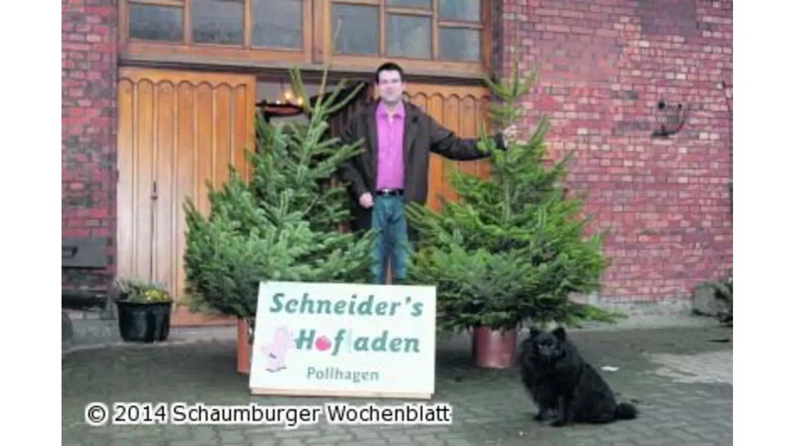 Weihnachtsbäume und mehr (Foto: mk)