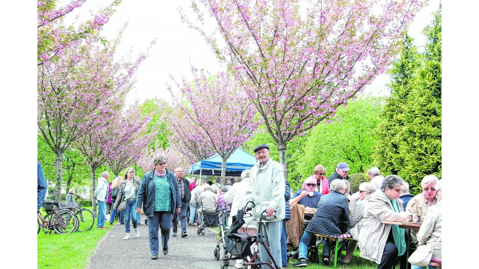 Der Fest-Erlös soll dieses Mal dem Schlossgarten dienen (Foto: bb)