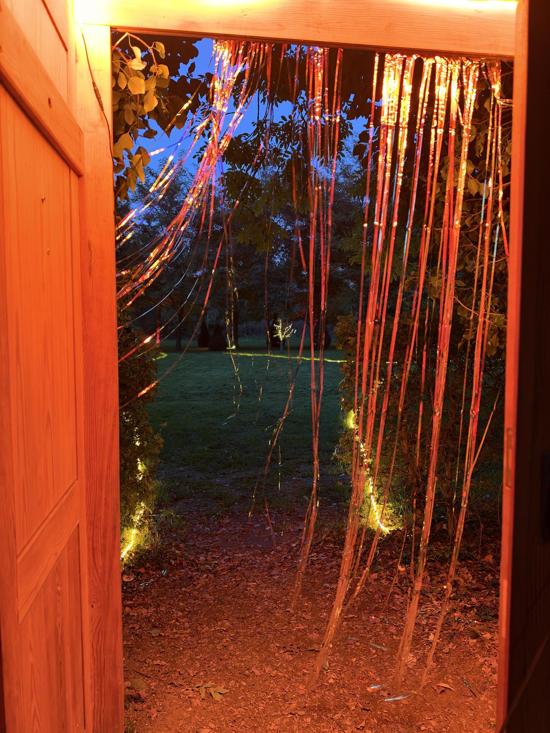 MärchenLichter (Foto: nd)