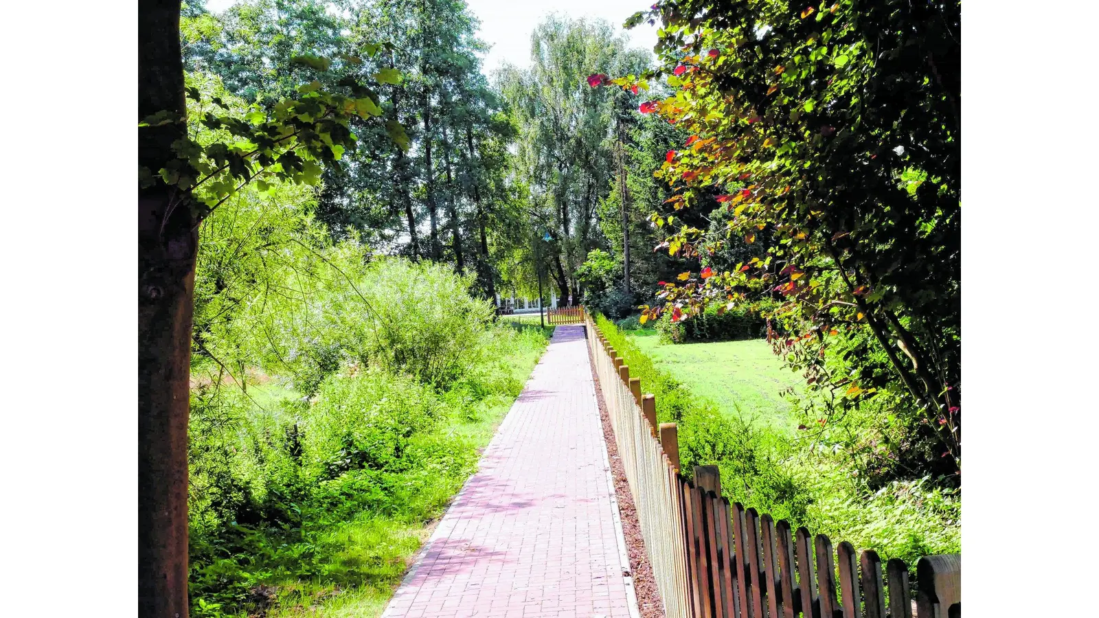 Der idyllische Weg ist nun fertiggestellt (Foto: red)